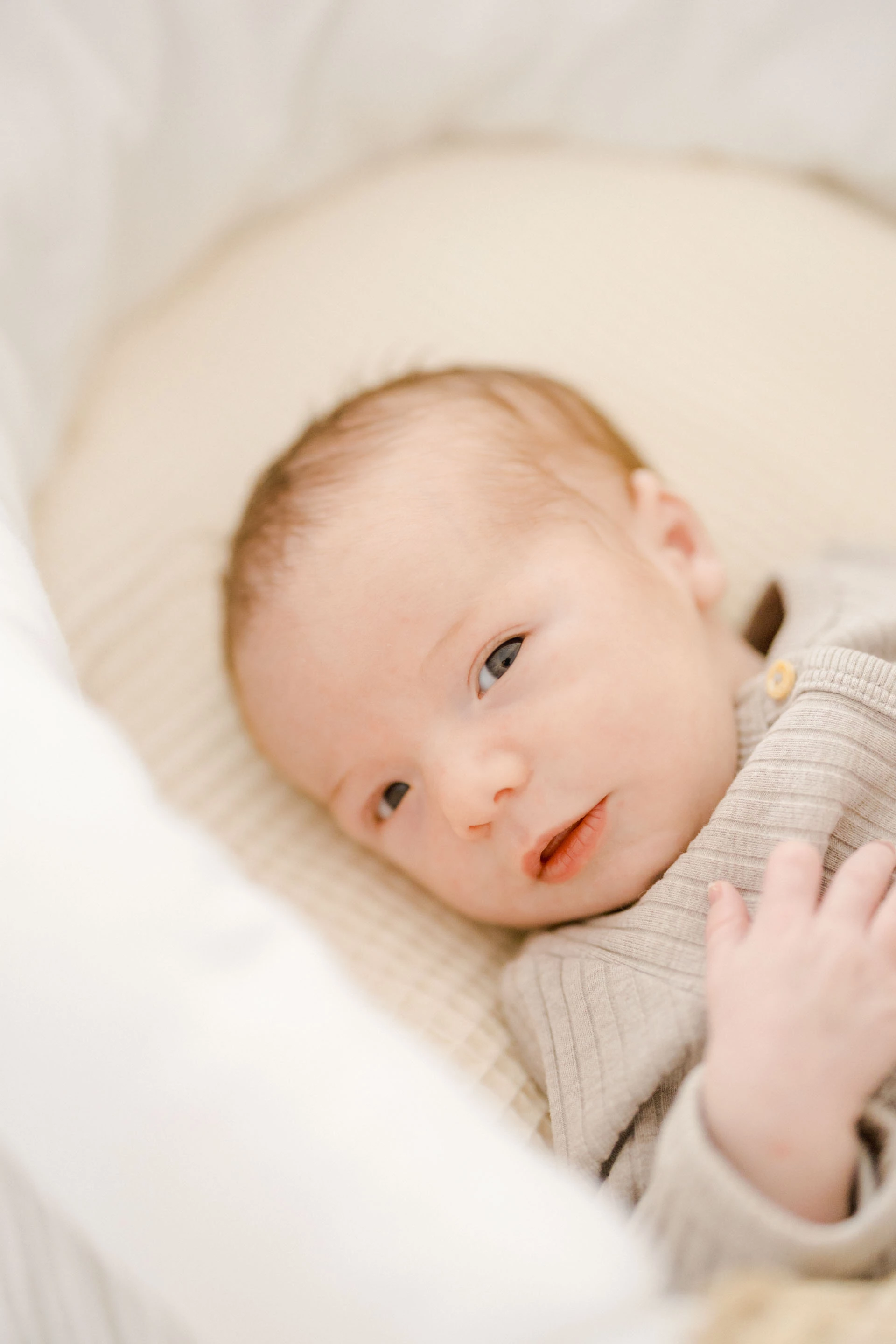 enfant marron gris bébé studio